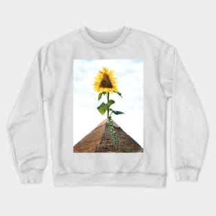 Closer to the Sun Crewneck Sweatshirt